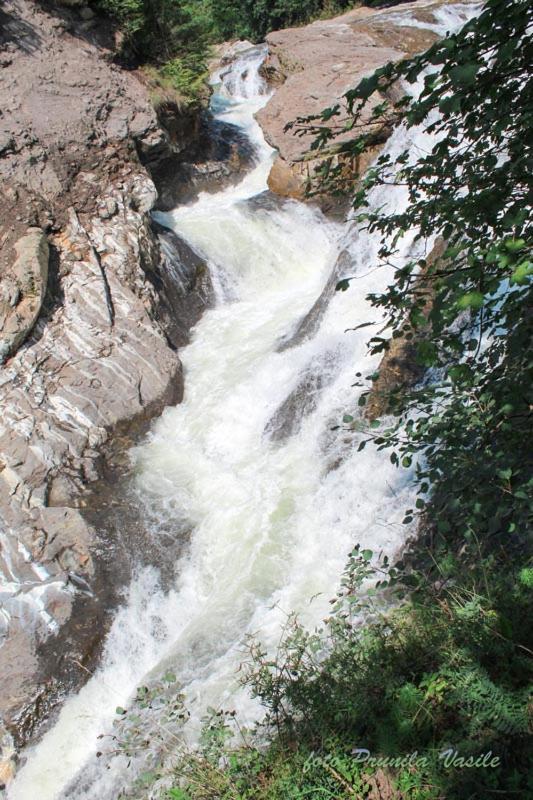 Pensiunea Cascada Putnei Lepşa Exteriör bild